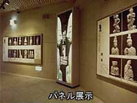 パネル展示